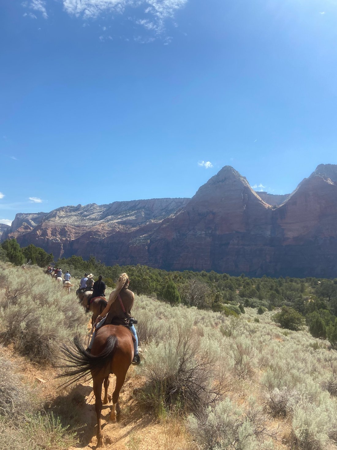Zion Canyon trail rider