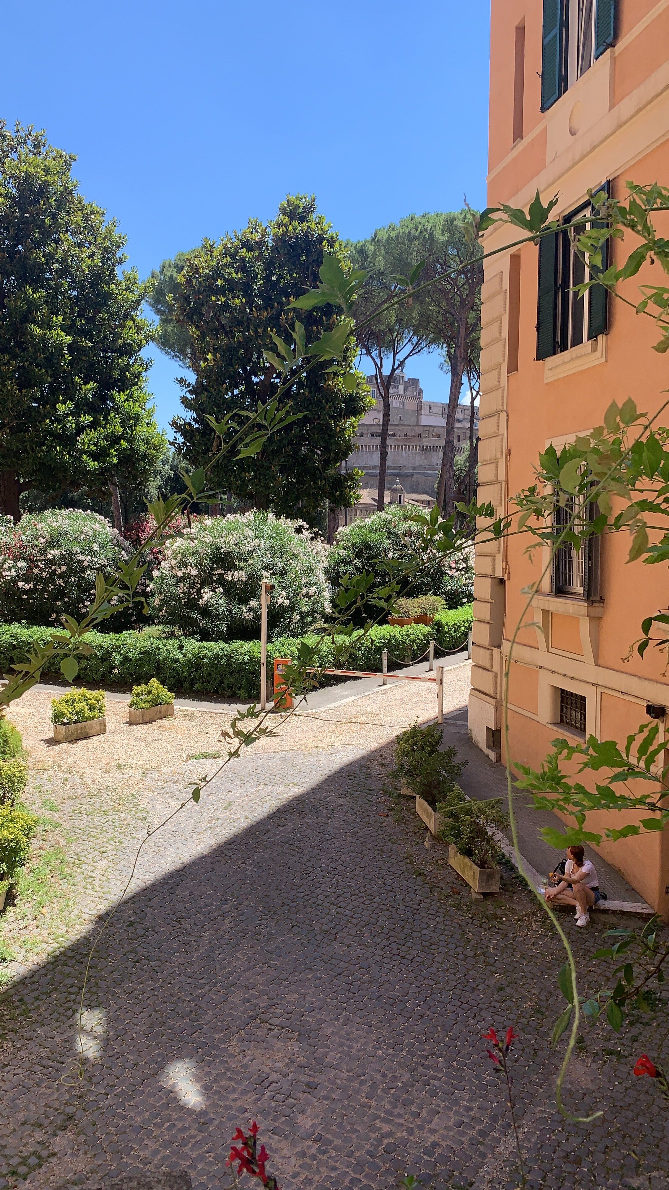 DOMUS ALBERICO B&B (Roma): Prezzi E Recensioni (2024)