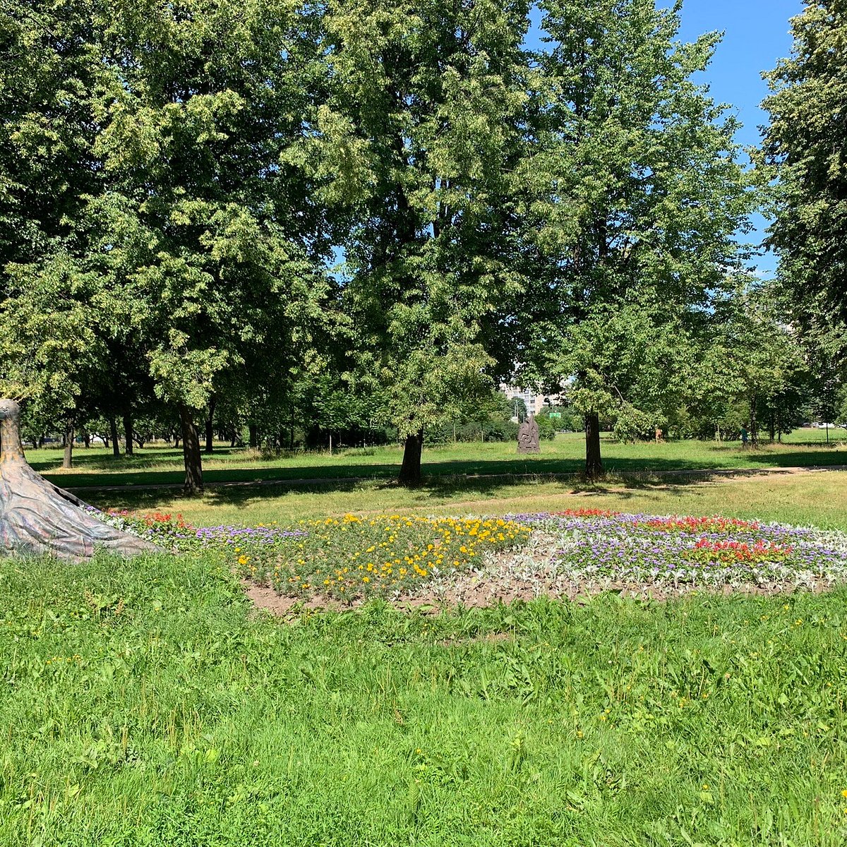 Сад Нева Красногвардейского района