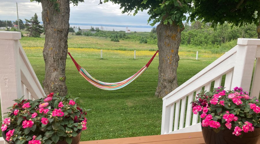 Guest hammock