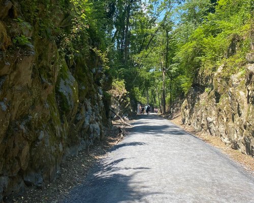 Shenandoah Rail Trail