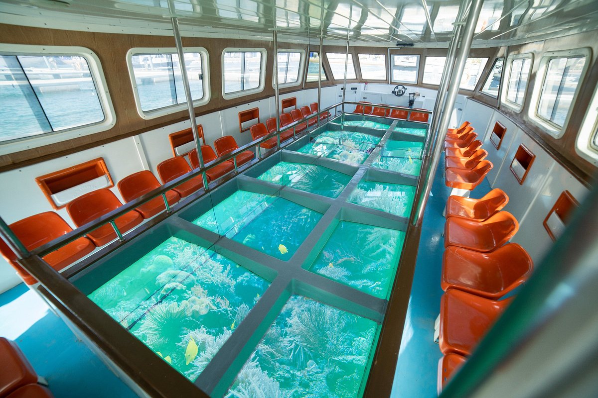 glass bottom boat tour aqaba