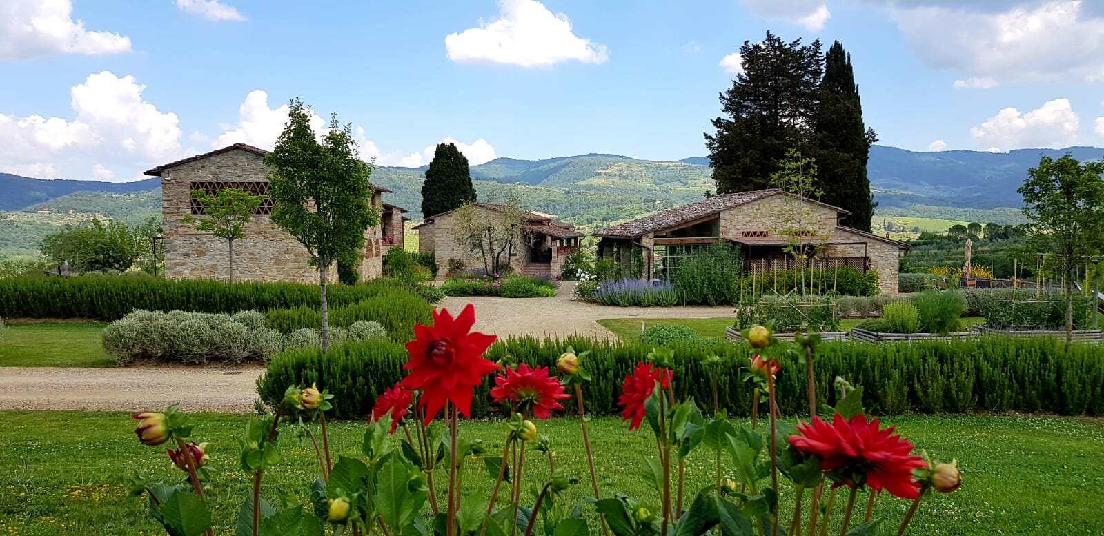 BORGO DEL CABREO - Updated 2024 Prices & B&B Reviews (Greve In Chianti ...