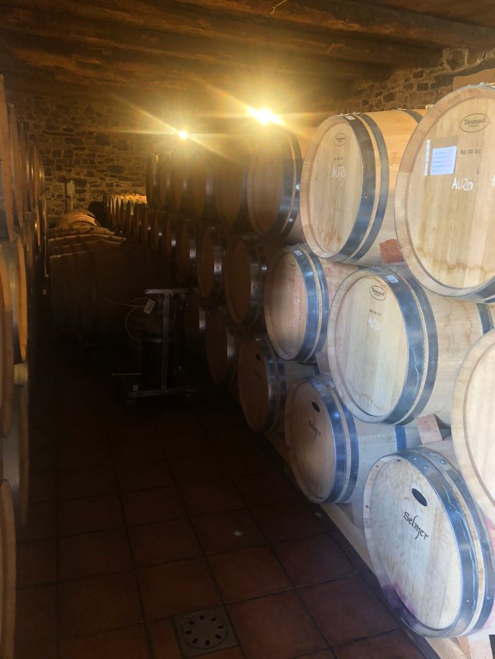 Imagen 10 de Bodegas Pittacum