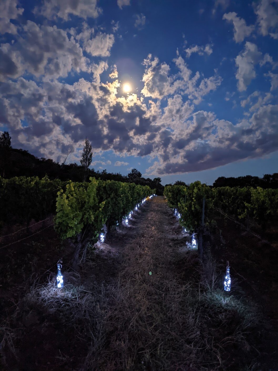 UNE RONCE SOUS LE FIGUIER (Rousset-les-Vignes, Frankrijk) - Foto's En ...