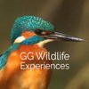 GG Wildlife Experiences