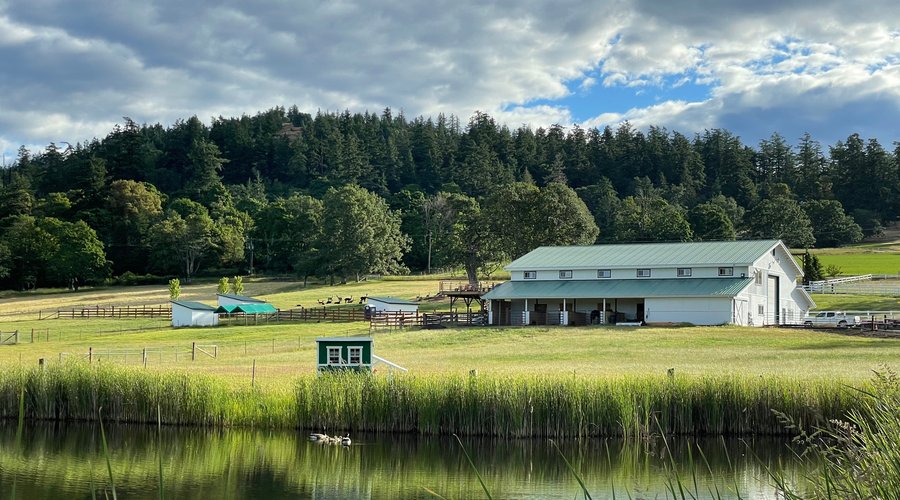 The barn