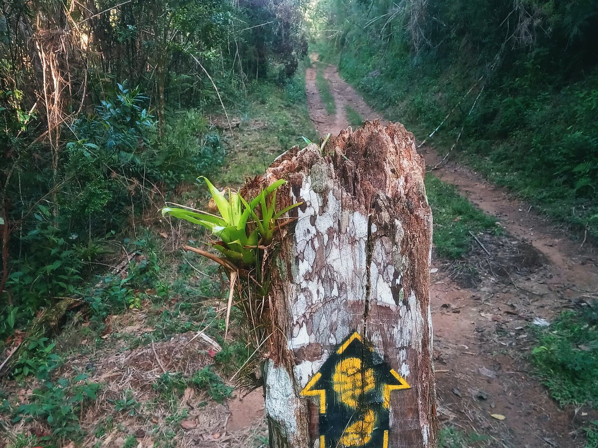 Grupo Velho Barreiro Trilhas Off Road