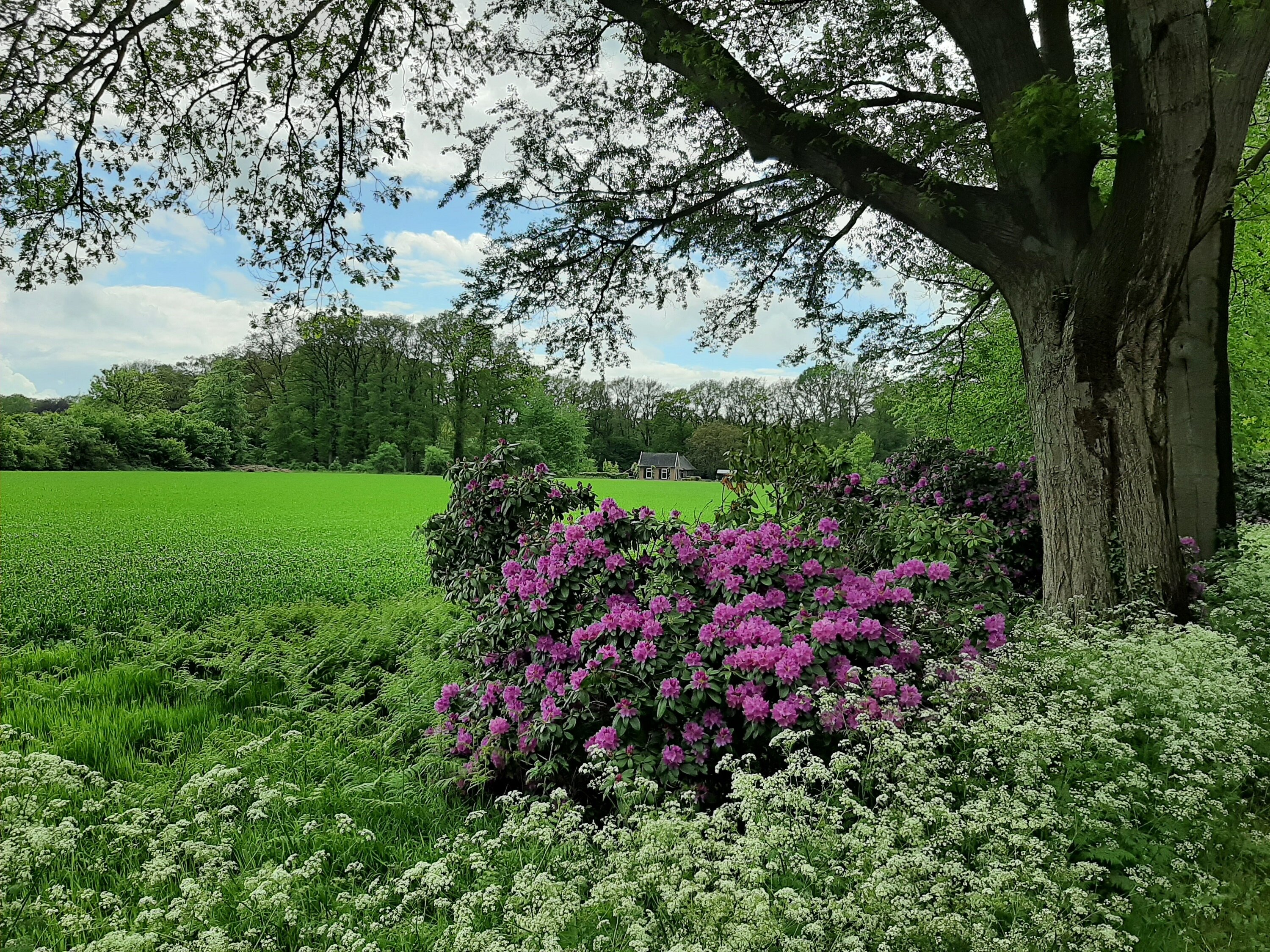 THE 5 BEST Things to Do in Vorden - 2022 (with Photos) - Tripadvisor