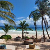 Ziggy Beach (Tulum) - All You Need to Know BEFORE You Go