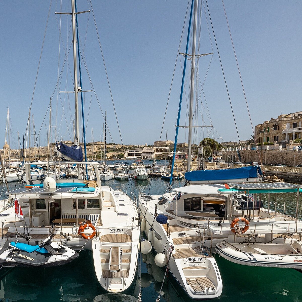 sea bird catamaran malta