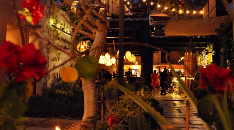 Rehearsal dinner, Business event or social event? Let us make your next event one that everyone will talk about! 🌿

Reservations:
Joelle Lafrenière
+52 331 858 4970
rrpp@jardinsecretocabo.com.mx

¿Cena de ensayo, evento empresarial o evento social? ¡Permítanos hacer de su próximo evento uno del que todos hablen! 🌿

Reservaciones: Joelle Lafrenière
+52 331 858 4970 rrpp@jardinsecretocabo.com.mx