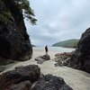 tofino tourism centre ryanvanveener