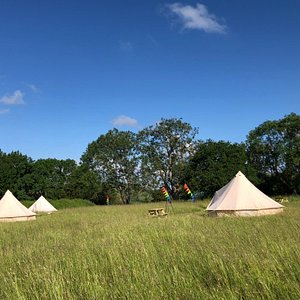The glamping meadow 