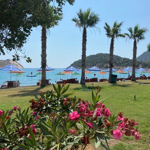 Akdeniz💙🌺🇹🇷