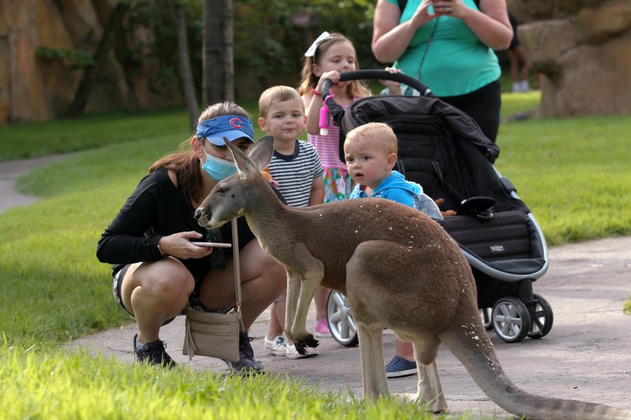 Discover the Best Petting Zoo in Charlotte, NC: A Fun Family Adventure Awaits!