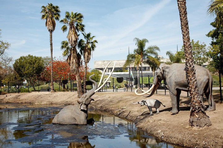 Tripadvisor | Entrada Al Rancho La Brea Y Museo Proporcionado Por La ...