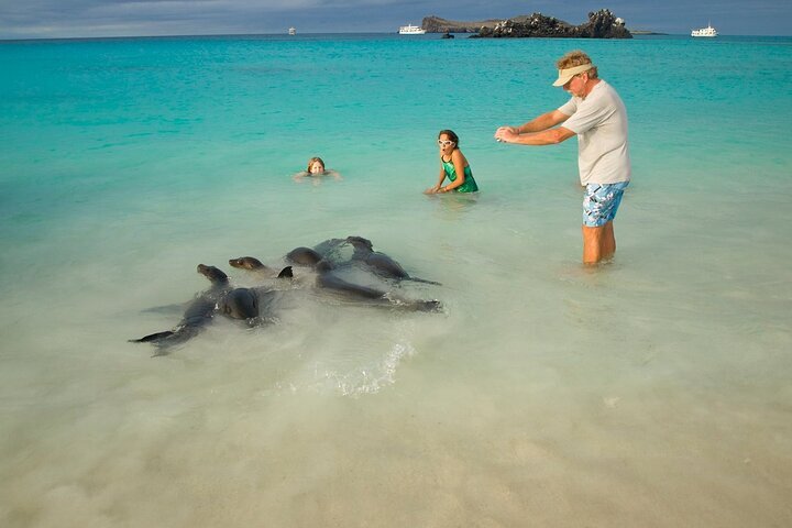 GALAPAGOS BEACH AT TORTUGA BAY All You Need to Know BEFORE You Go