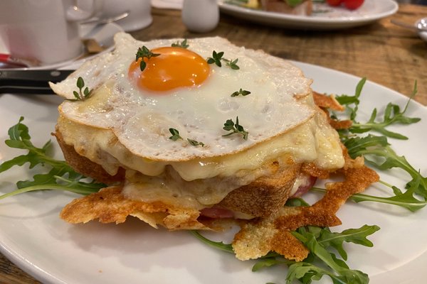 Edinburgh's top-rated coffee spot a 'little gem' with the 'best ever  bagels' - Edinburgh Live