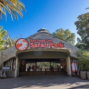 sd safari park zoo