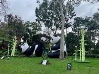 Adelaide Zoo - Well, hello there! Have you seen the Dusky Leaf-monkeys at  Adelaide Zoo? Drop by and watch them in action in the Malayan Tapir  exhibit. 🙈 Did you know there