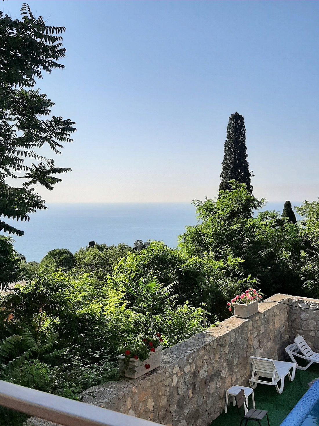 U GRAFSKOGO PARKA (Алупка) - отзывы и фото - Tripadvisor