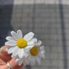 Hcrymng