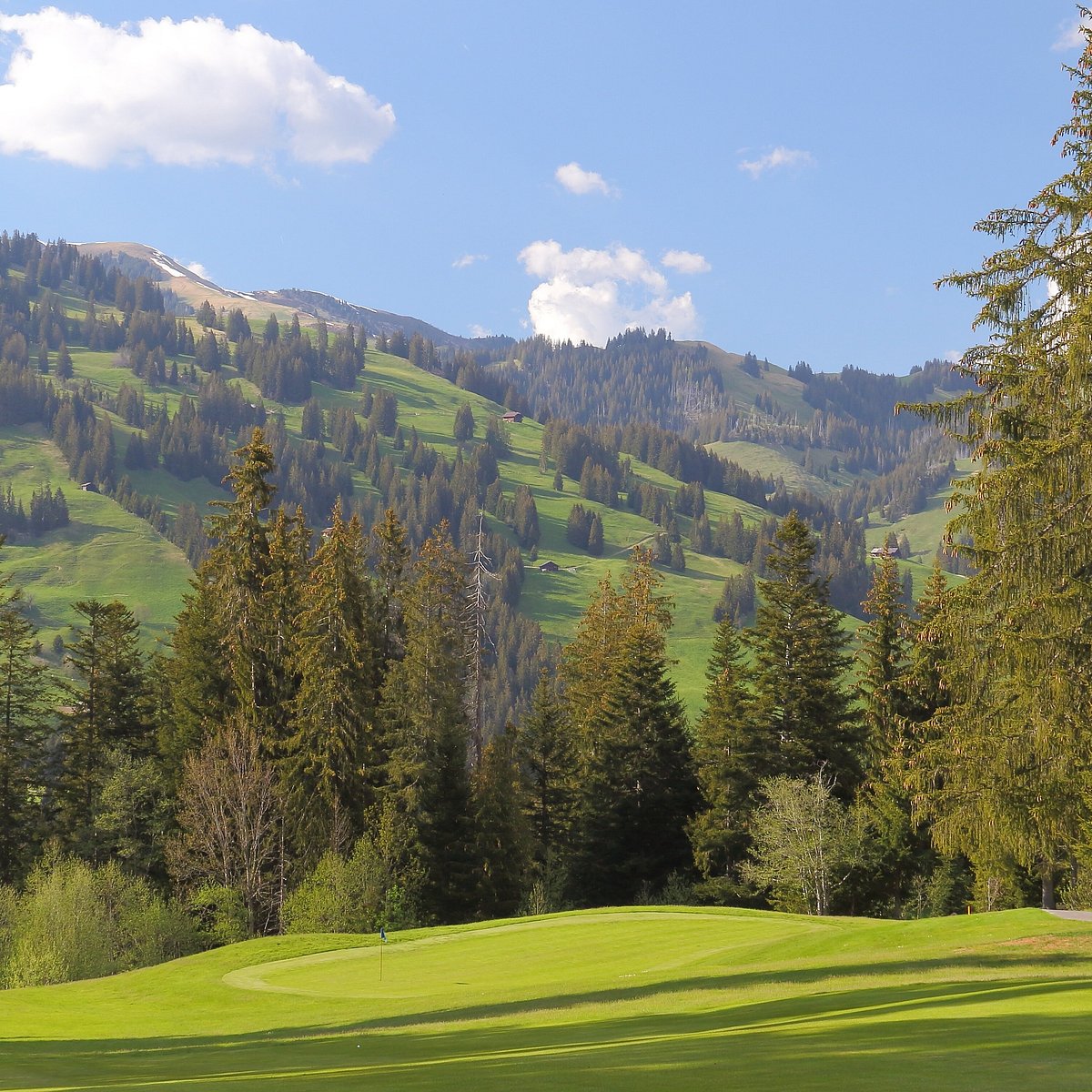 Gstaad Швейцария природа