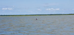 Coastal Backwater Adventures (Saint Simons Island) - All You Need to ...