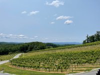 Point Lookout Vineyards (Hendersonville) - All You Need to Know BEFORE ...