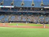 Baseball done right - Review of Tropicana Field, St. Petersburg, FL -  Tripadvisor