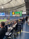 The Thunder Dome! - Review of Tropicana Field, St. Petersburg, FL -  Tripadvisor