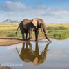 Villas&Africa