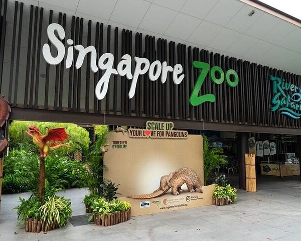 Singapore Zoo - 2021 All You Need to Know Before You Go (with Photos ...