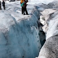 Guided Glacier Hike on The Athabasca with IceWalks