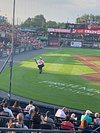 READING FIGHTIN PHILS - 32 Photos & 38 Reviews - 1900 Centre Ave
