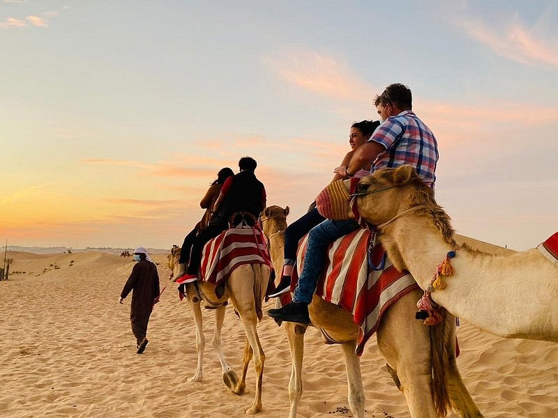Riding on camels in the Dubai desert at sunset