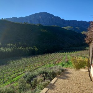 View towards "Mostert's Twins" peaks in the background