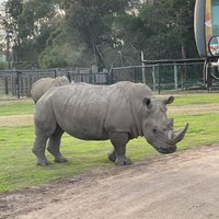 2023 Slumber Safari at Werribee Open Range Zoo