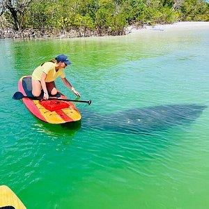 kayak tours cape coral