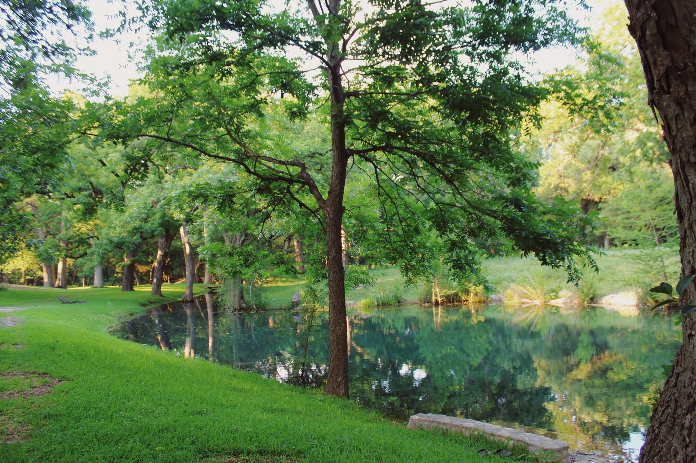 THE SPRINGS Prices & Campground Reviews (Leakey, Texas)