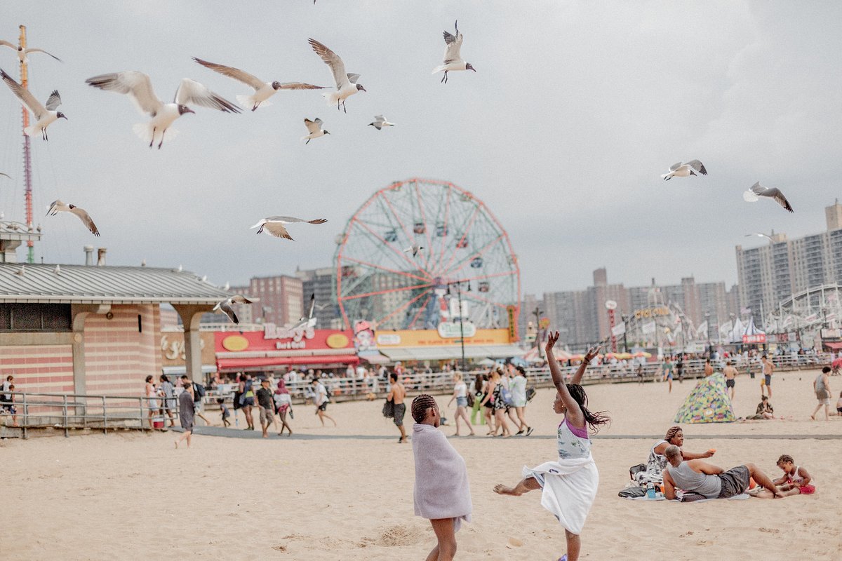 People on Coney Island beach with seagulls flying overhead and amusement park rides in the background