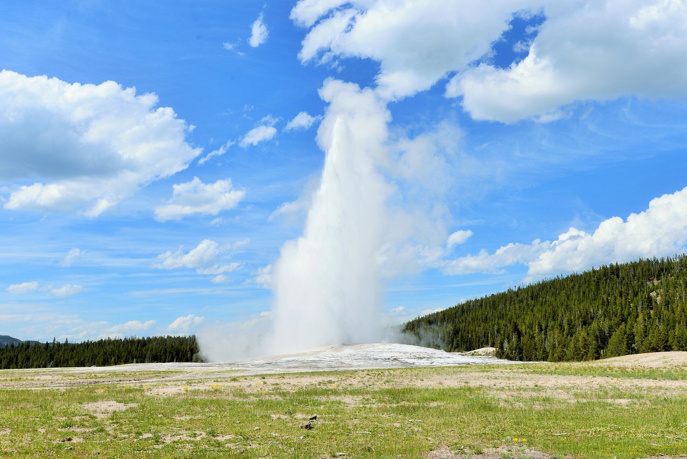 8 Best Geysers In Yellowstone That Will Knock Your Socks Off - Tripadvisor