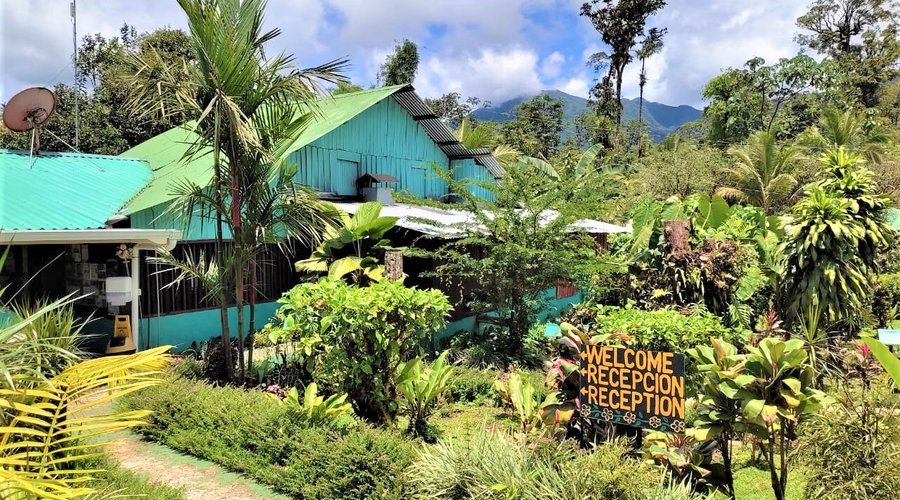 Recepción y Restaurante 