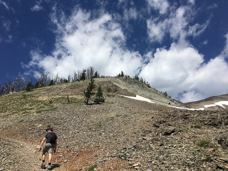 A hiker ascends steeply up an unclear path to Avalanche Peak.