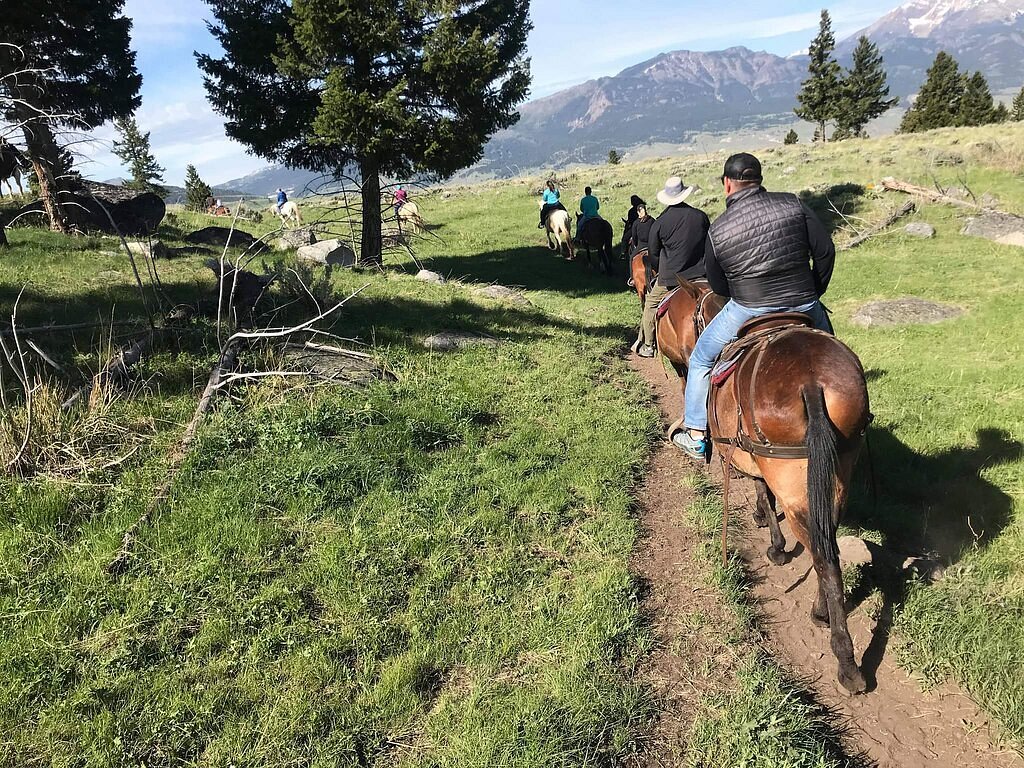 A group of horseback riders set off into a green field with a couple of tall trees and mountains framing them.