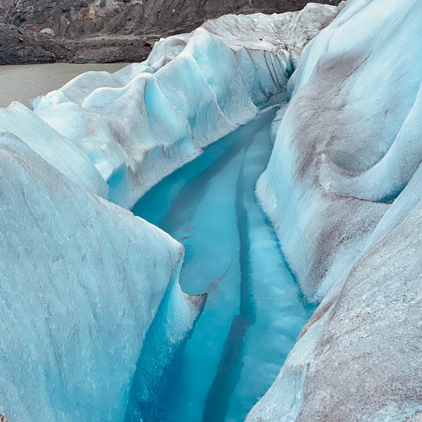 Juneau Wildlife Whale Watching & Mendenhall Glacier | AK