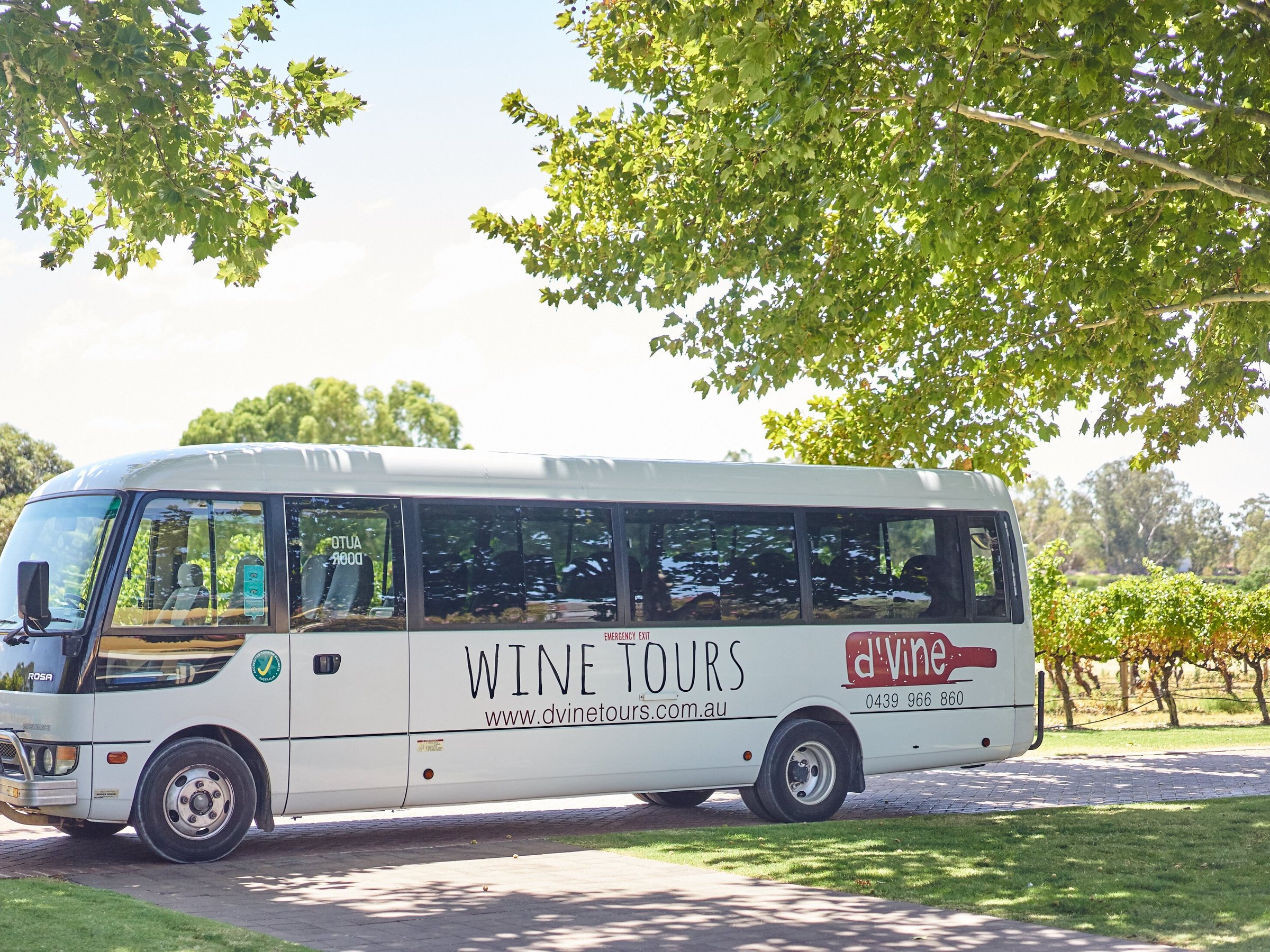 d'vine tours