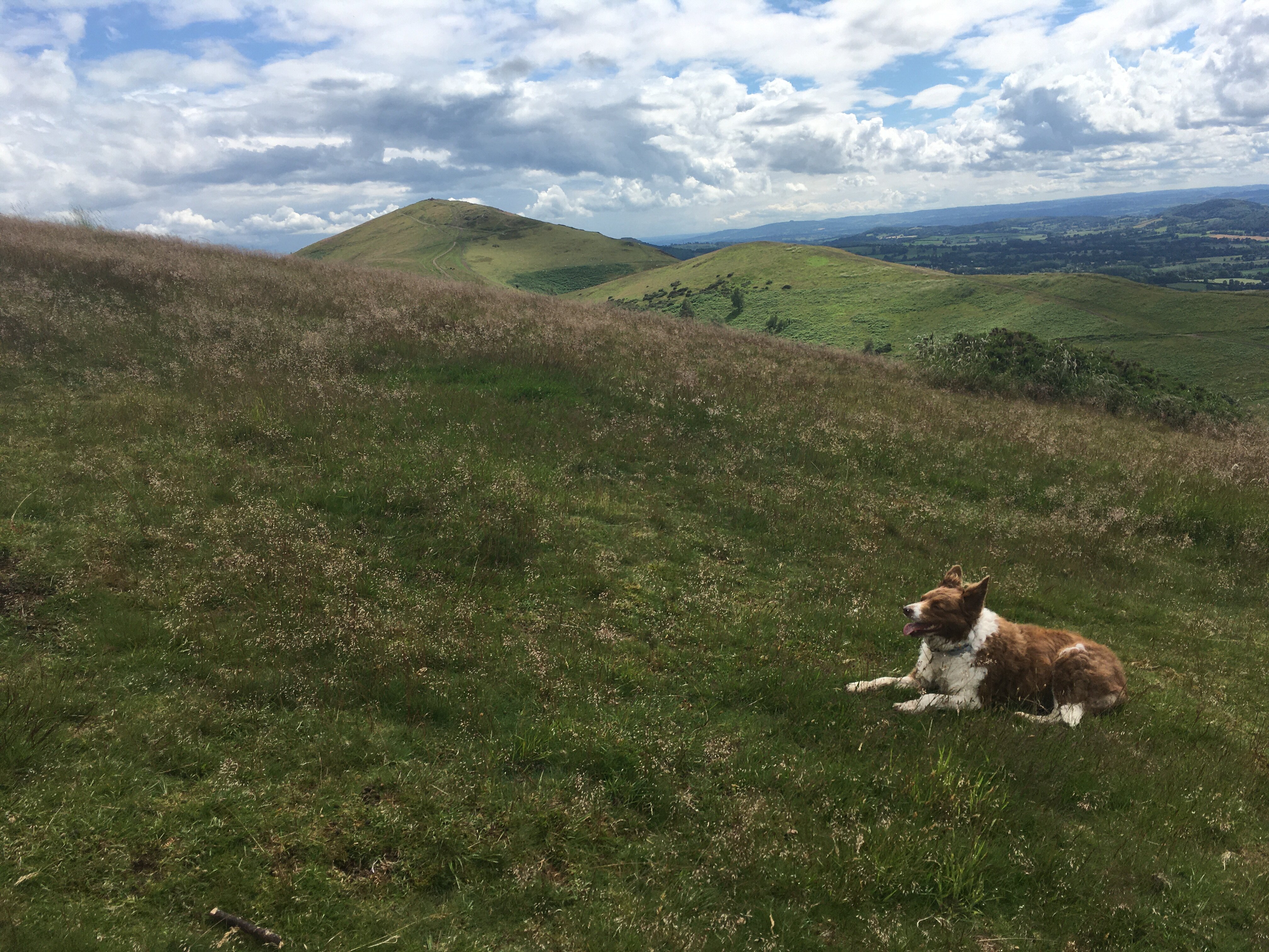 COWLEIGH PARK FARM (Great Malvern, Reino Unido): Opiniones, Comparación ...