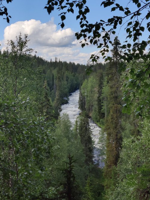 Oulanka National Park review images